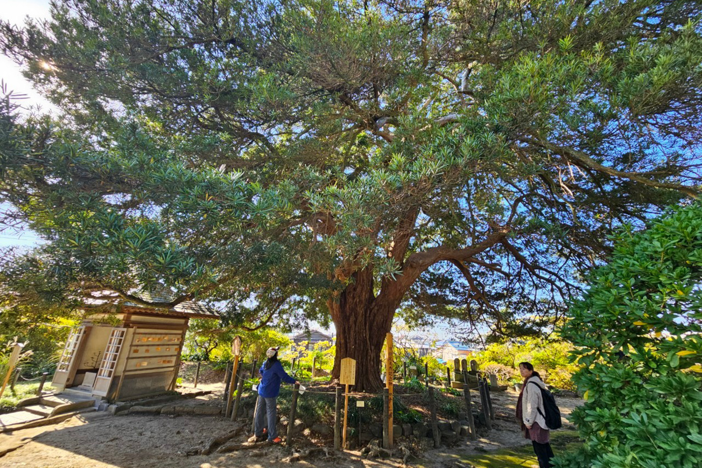 坂東三十三所-祇園山安養院田代寺